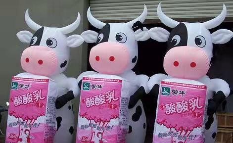 九龙坡牛奶厂广告气模